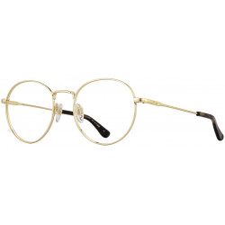 AO-1002 Gold - Lunettes de vue