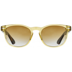 AO-1004 Yellow Crystal Tortoise