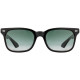 Tournament Black Tortoise Tournament Black Tortoise