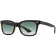 Tournament Black Tortoise Tournament Black Tortoise